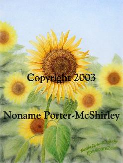Copyright 2007 Noname Porter-McShirley